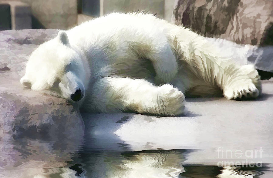 Sleepy Polar Bear  Painting by Elaine Manley