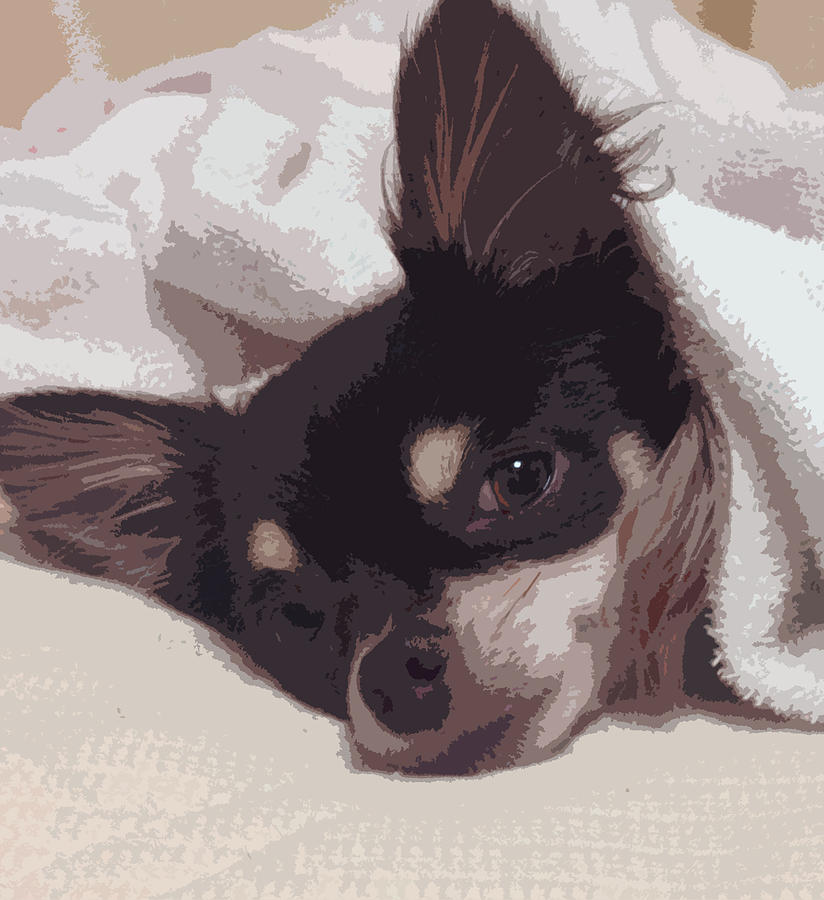 Dog Painting - Sleepy by Roro Rop