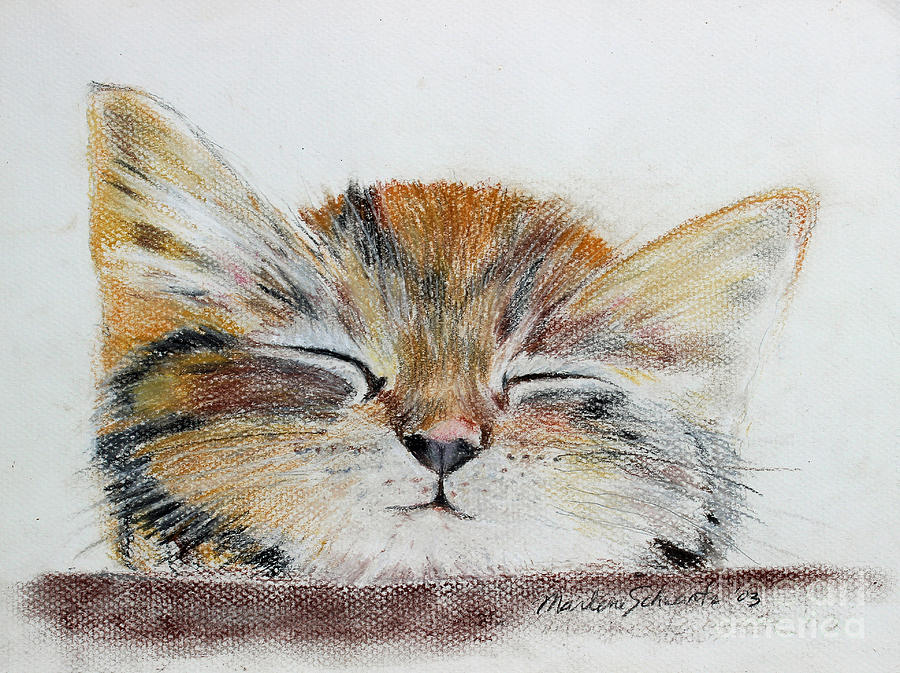 Kitten Painting - Sleepyhead by Marlene Schwartz Massey