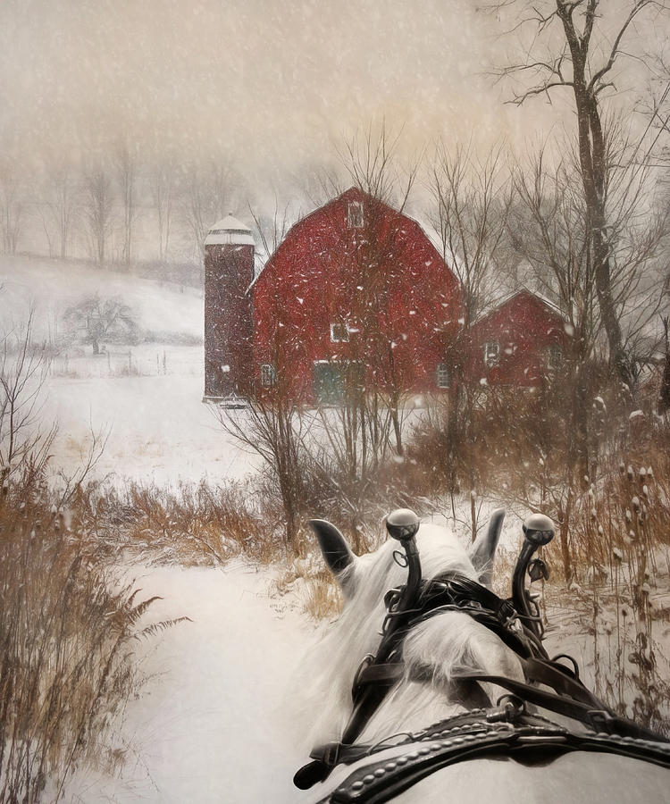 Christmas Photograph - Sleigh Ride by Lori Deiter