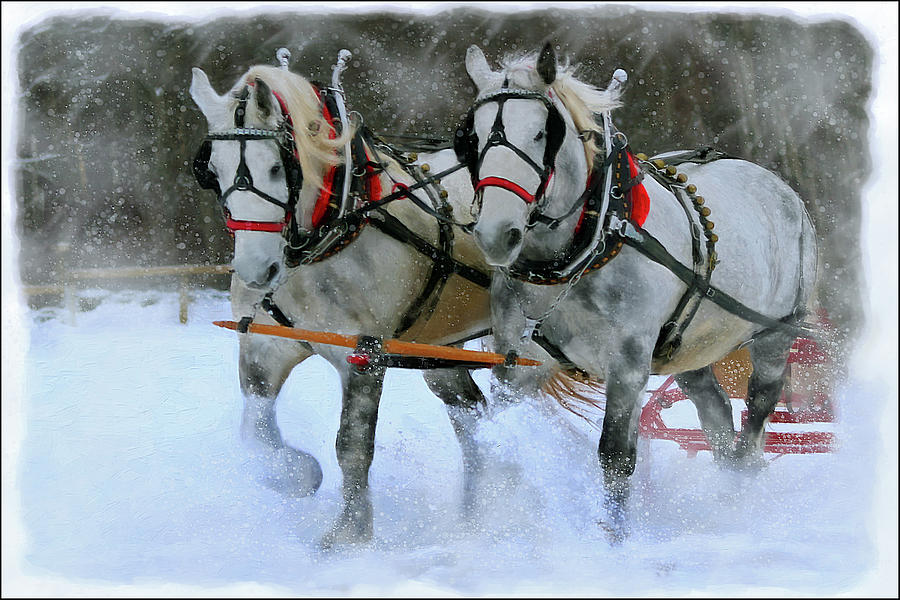 Sleigh Ride Digital Art by Posey Clements