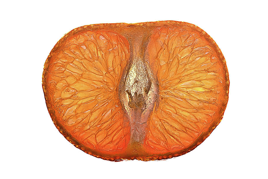 Slice Of A Mandarin Orange Photograph