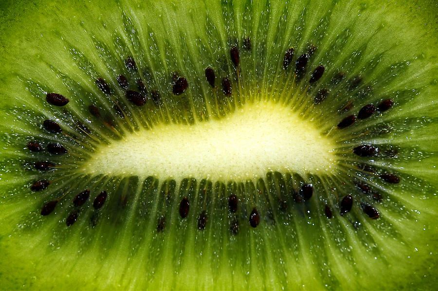 Slice of Juicy Green Kiwi Fruit Photograph by Tracie Schiebel