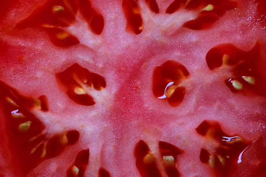 Slice of Juicy Red Tomato Photograph by Tracie Schiebel