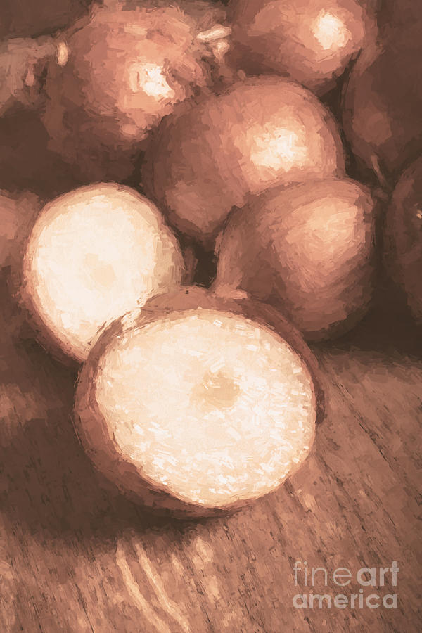 Sliced brown onion digital oil painting Photograph by Jorgo Photography