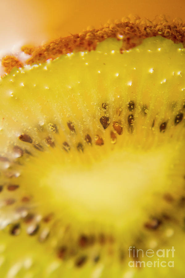 Sliced Kiwi Fruit Floating In Carbonated Beverage Photograph