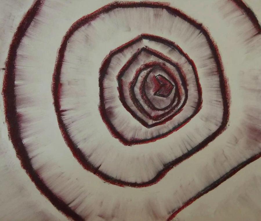 Soft Pastels Drawing - Sliced red onion  by John Boyd