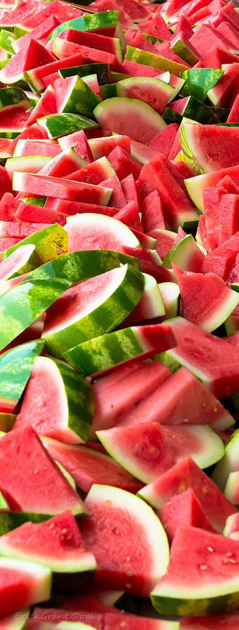 Lettuce Photograph - Sliced Watermelon by Erich Grant