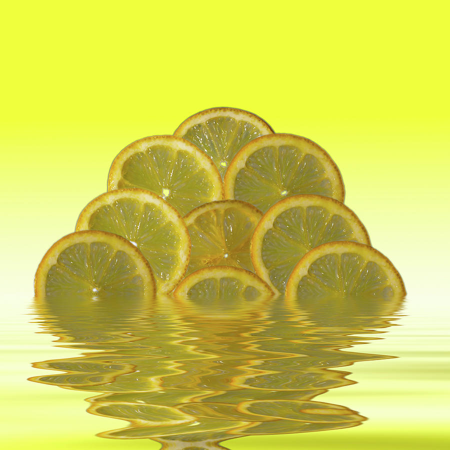 Slices Lemon Citrus Fruit Photograph by David French