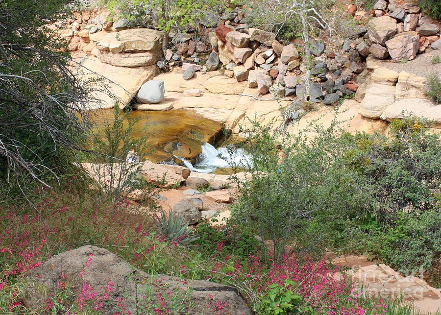 Slide Rock with Pink Wildflowers Photograph by Carol Groenen