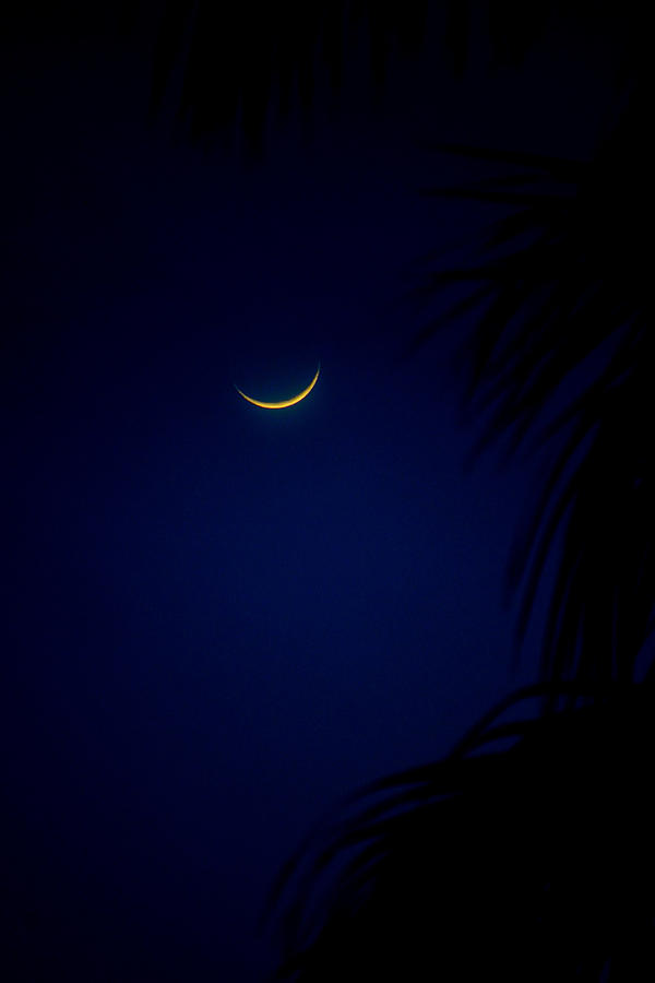 Slight Moon Photograph