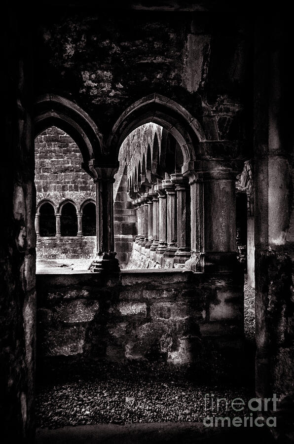 Black And White Photograph - Sligo Abbey Interior BW by RicardMN Photography