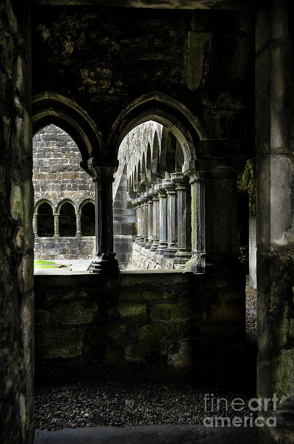 Sligo Abbey interior Photograph by RicardMN Photography