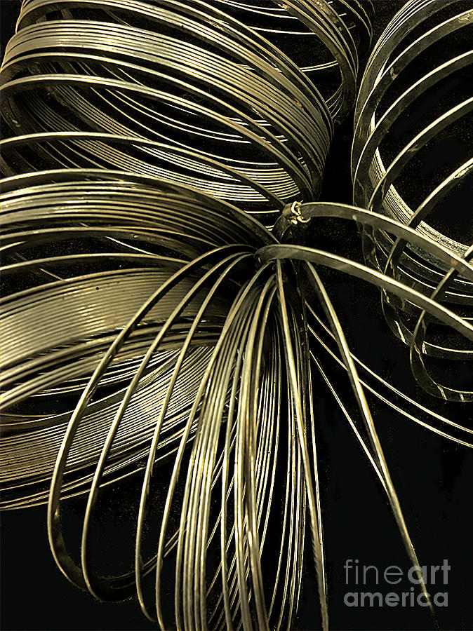 Slinky #1 Photograph by ELDavis Photography
