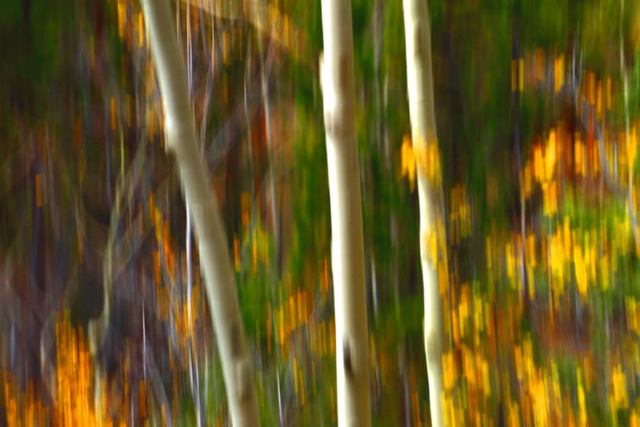 Fall Photograph - Slipping Through  by Mark Ross