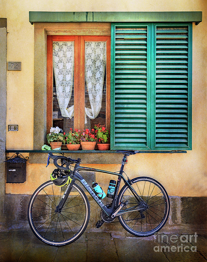 Sliver and Black Bianchi Bicycle Photograph by Craig J Satterlee