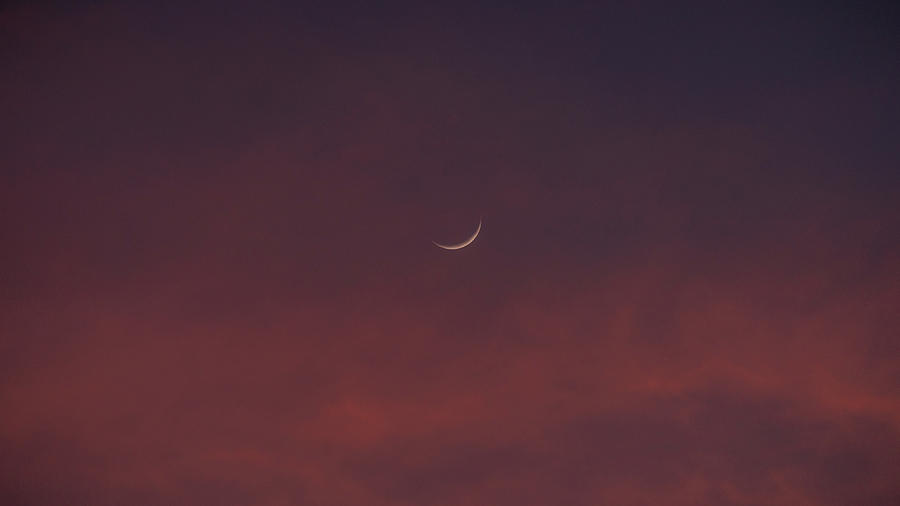 Sliver Moon Floating in a Pink Sky Over Venice Florida Photograph by Lawrence S Richardson Jr