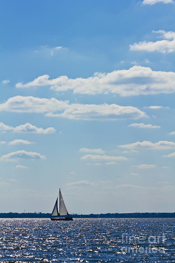 Sloop Sailing on the Harbor Photograph by Dustin K Ryan
