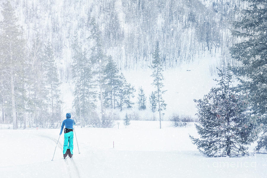 Winter Photograph - Slopes by Evelina Kremsdorf