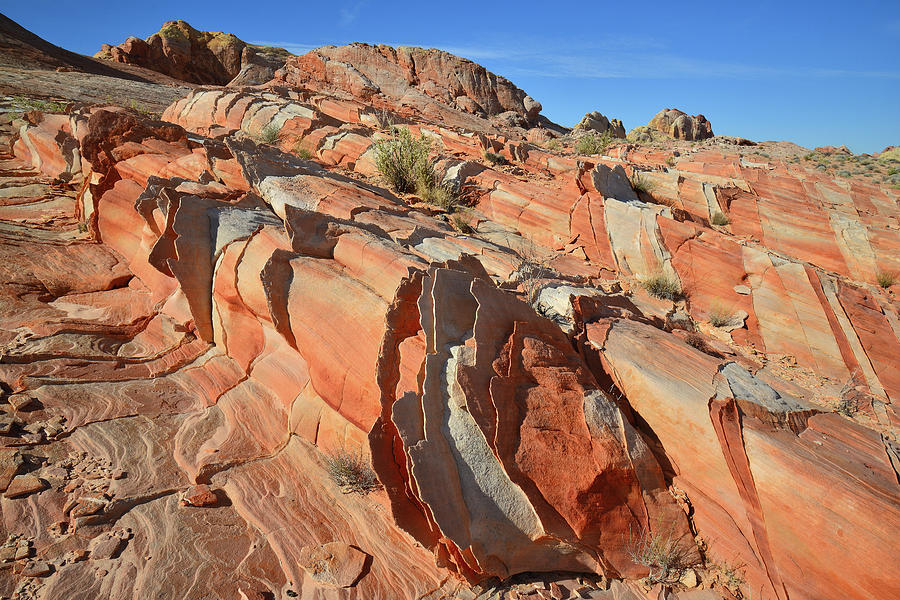 Slopes of Colorful Sandstone in Valley of Fire Photograph by Ray Mathis