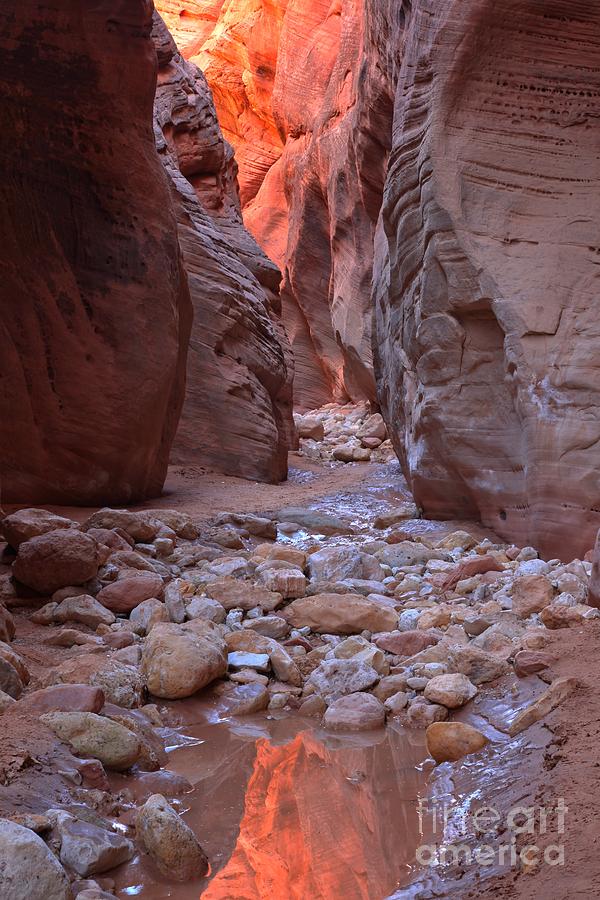 Slot Canyon Reflections Photograph by Adam Jewell