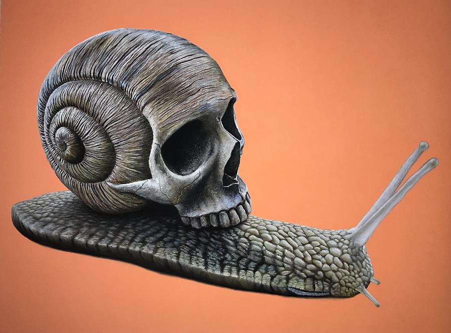 Skull Pastel - Sloth by Brian Owens