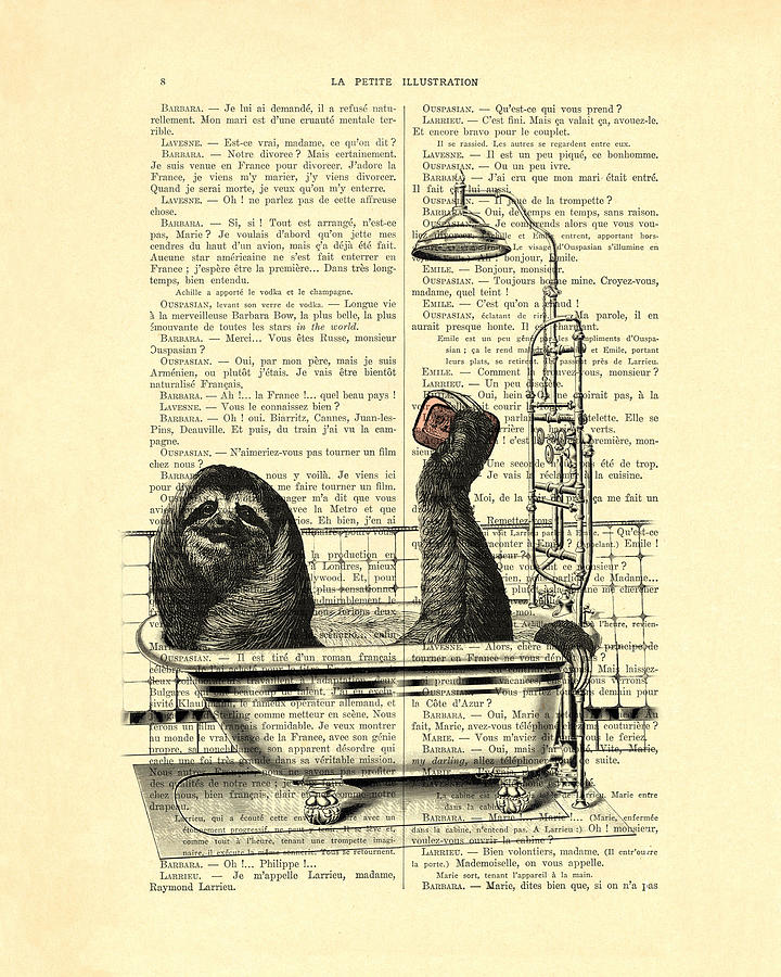 Wildlife Digital Art - Sloth, funny childrens art, bathroom decor by Madame Memento