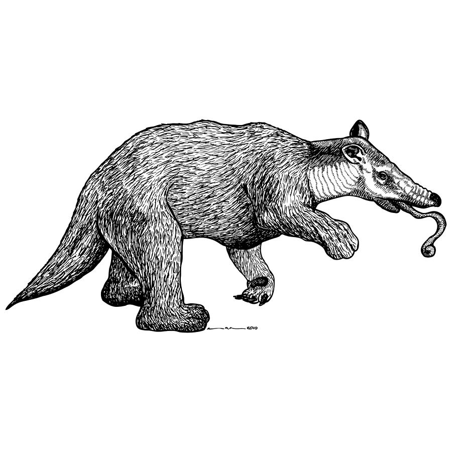 Slothbear Drawing By Karl Addison