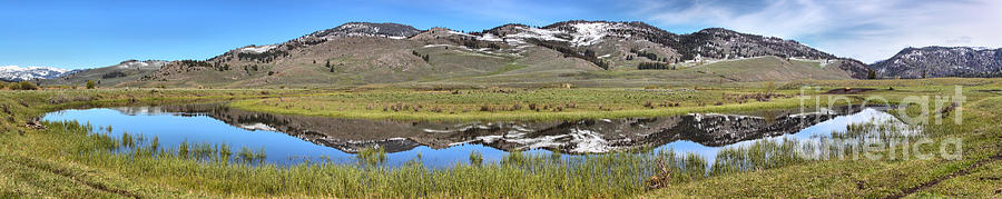 Yellowstone National Park Photograph - Slough Creek Reflection Panorama by Adam Jewell