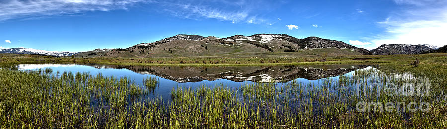 Yellowstone National Park Photograph - Slough Creek Spring Reflections by Adam Jewell