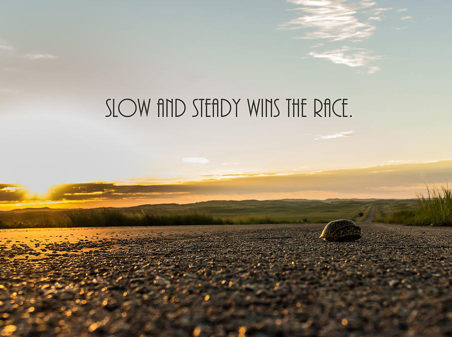 Inspirational Photograph - Slow and Steady by AllScapes Photography