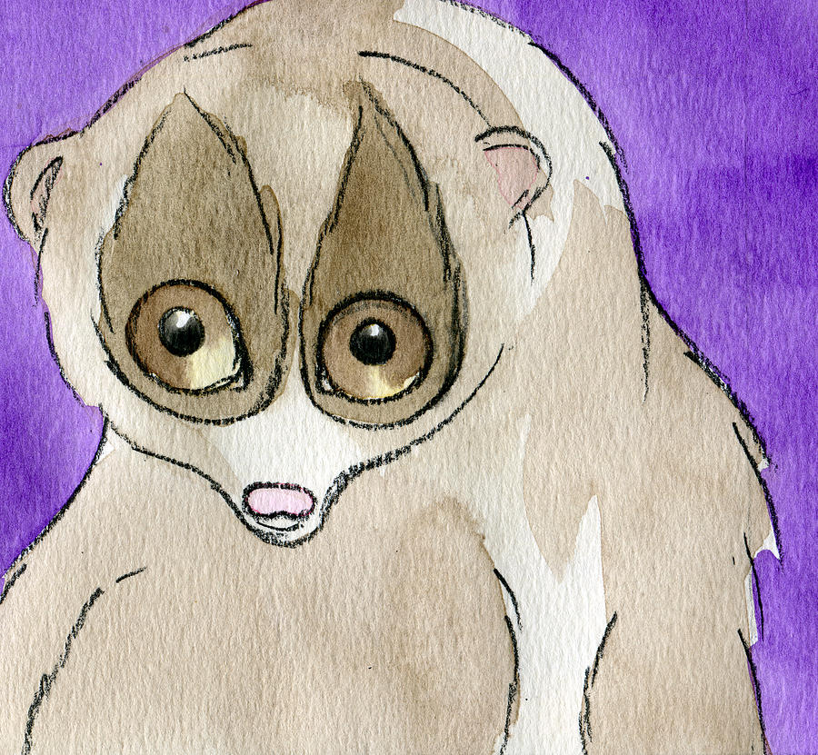 Animal Painting - Slow Loris by Ruth Ferrier