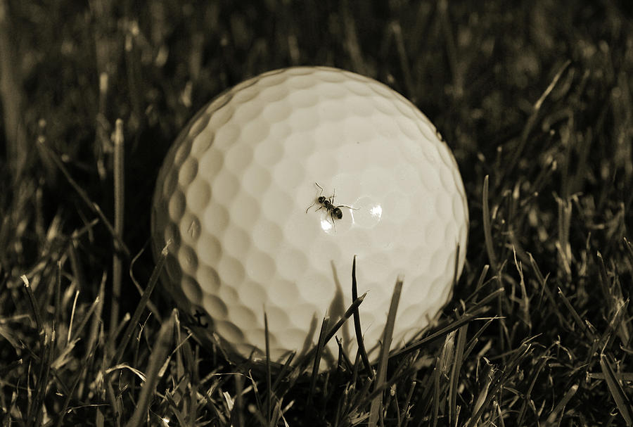 Slow Play. Photograph by Terence Davis