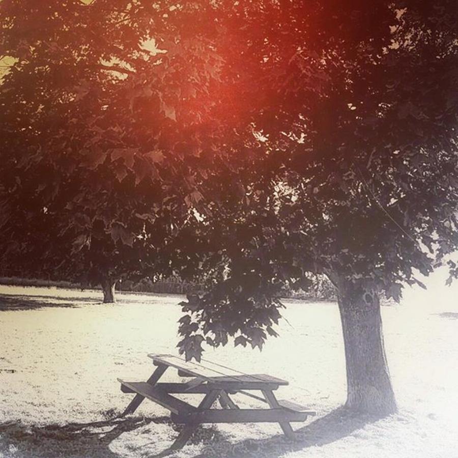 Tree Photograph - #slumber #picnic  #picnictable by Angela Curtis