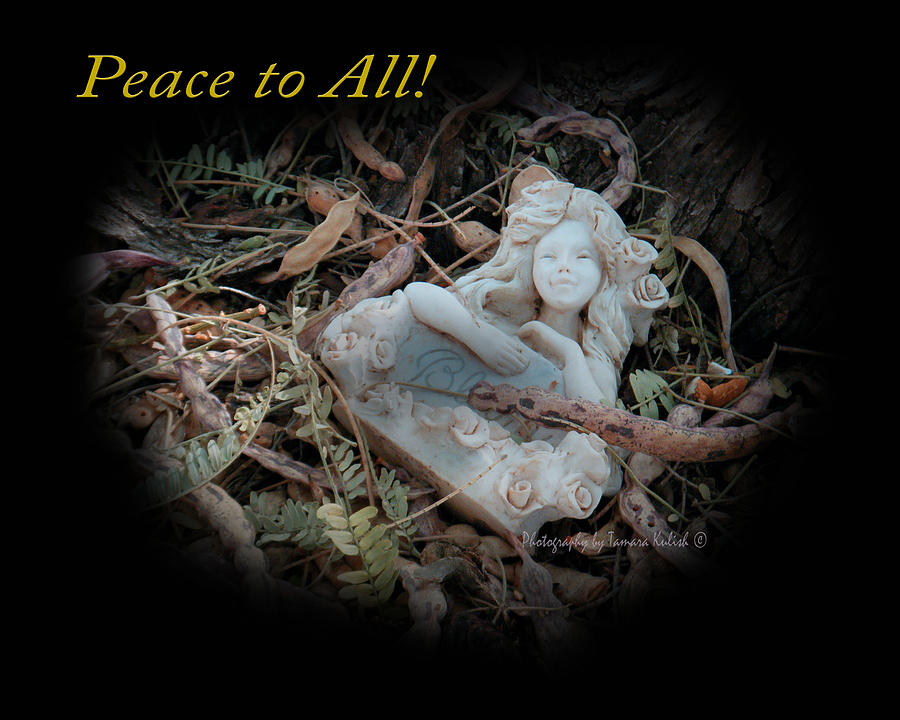 Slumbering Fairy 2 Peace to All Photograph by Tamara Kulish