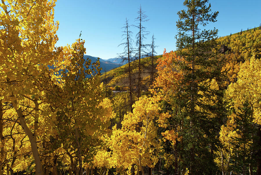 Slumgullion Pass Autumn Landscape Photograph by Cascade Colors