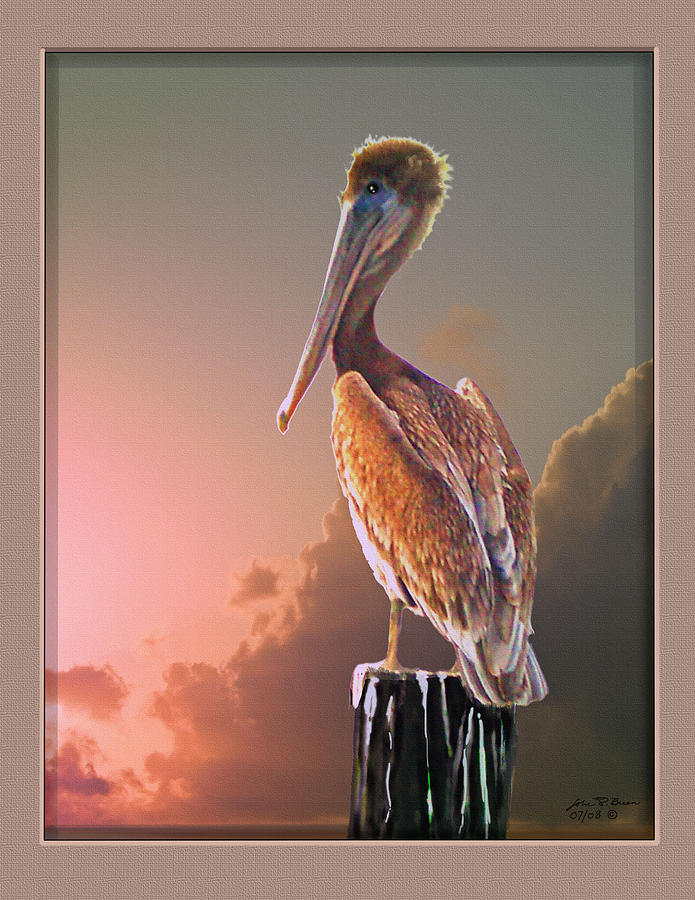 Pelican Painting - Sly Pelican by John Breen