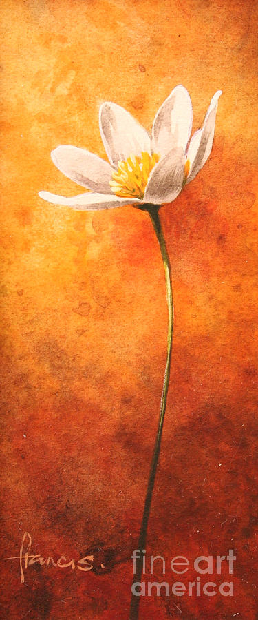 Small Anemone Painting by MGL Meiklejohn Graphics Licensing