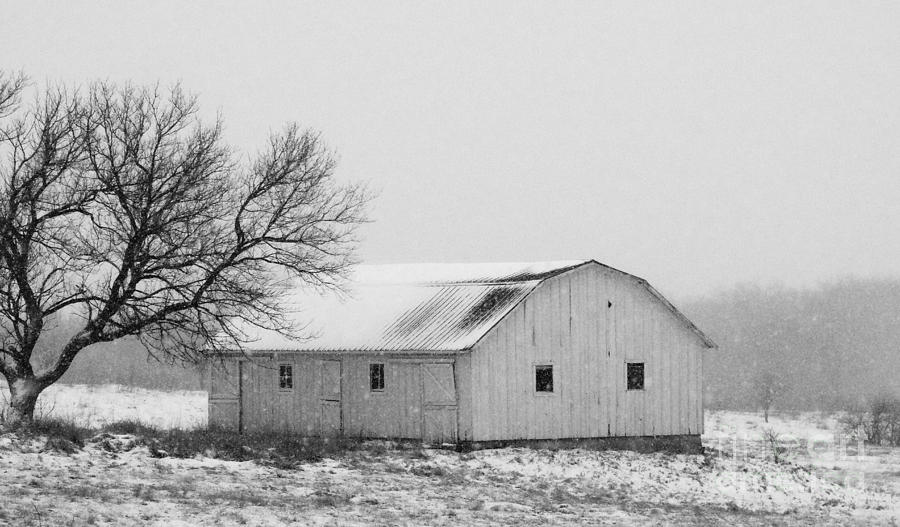 Barn Photograph - Small Barn in White by J L Zarek
