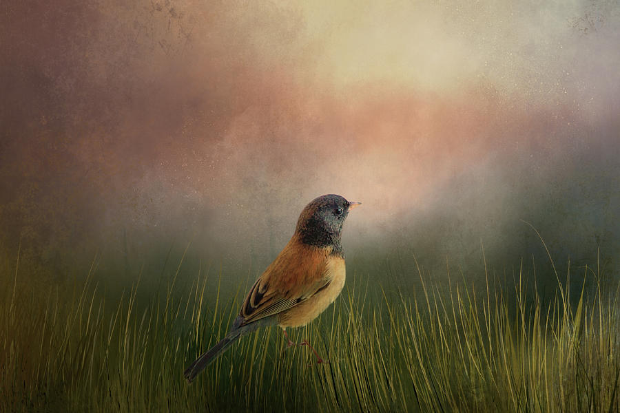 Small Bird visit Digital Art by Terry Davis
