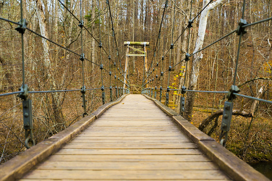 Suspension Photograph - Small Bridge by William Hall Suspension Photograph - Small Bridge by William Hall