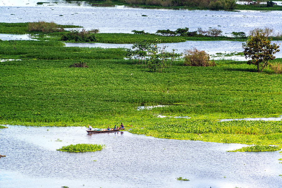 Small Canoe in the Amazon Photograph by Jess Kraft - Fine Art America