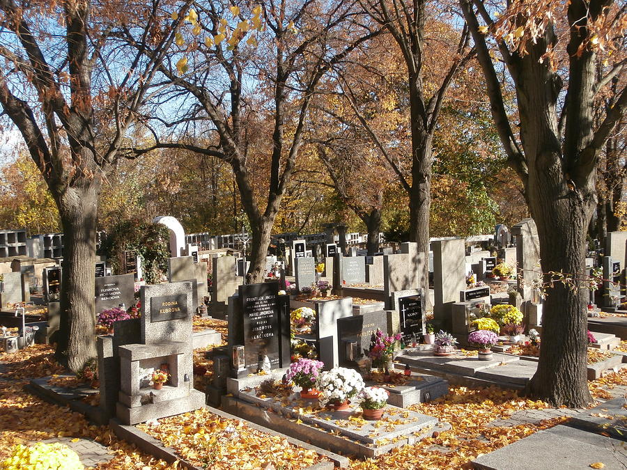 Small Cemetery With Autumn Leaves And Evening Sun Photograph