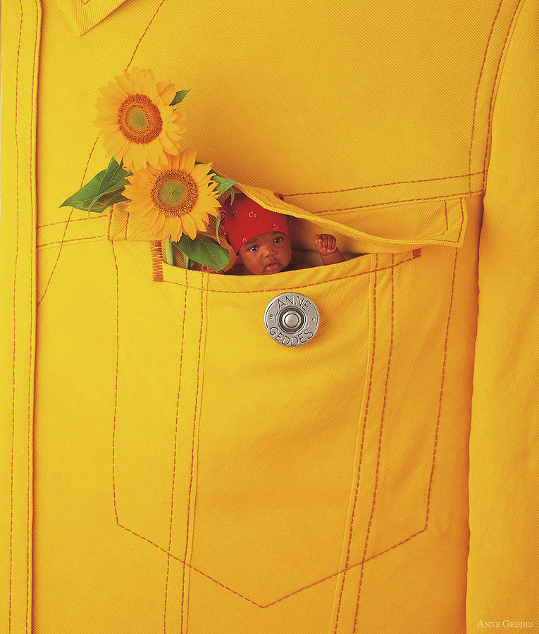Sunflowers Photograph - Small Change by Anne Geddes