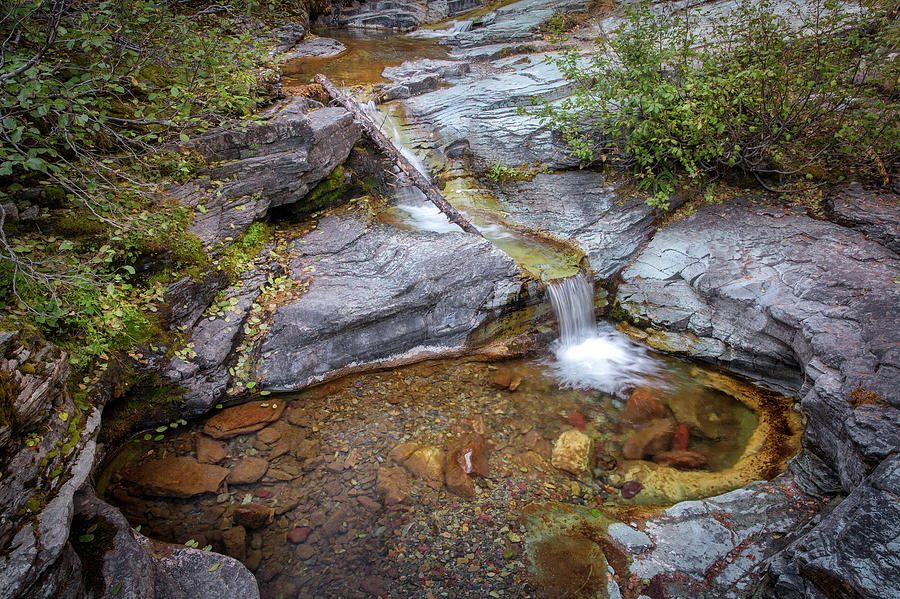 Small Creek at Glacier National Park Photograph by Alex Mironyuk