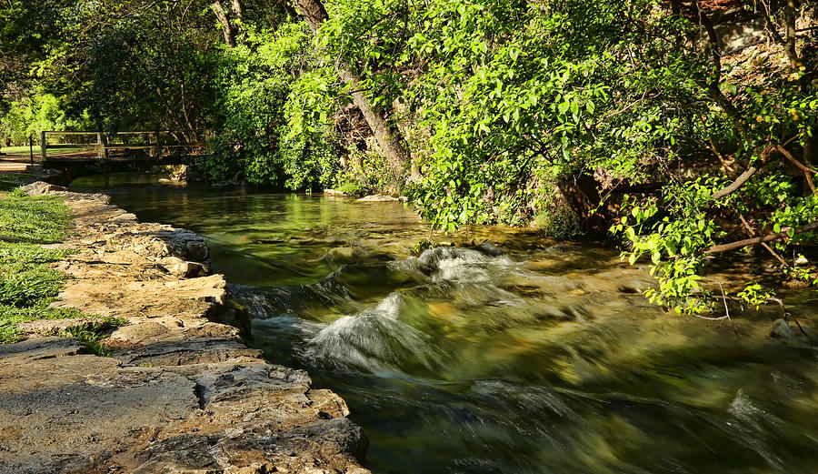 Small Creek at Landa Park Photograph by Judy Vincent