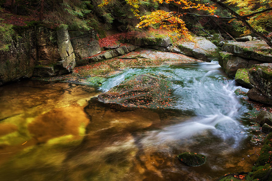 Small Creek In Autumn Mountain Forest Photograph by Artur Bogacki