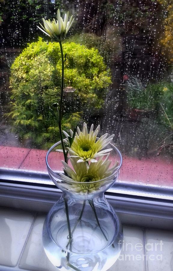 Small Dahlias In My Window Photograph by Joan-Violet Stretch