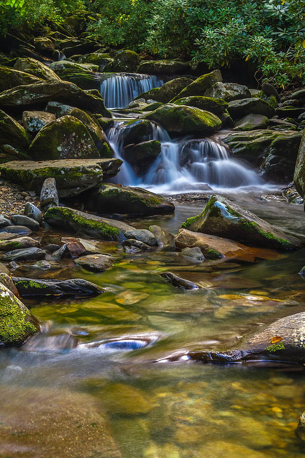 Small Falls in the West Prong of the Little Pigeon River Photograph by Chuck De La Rosa