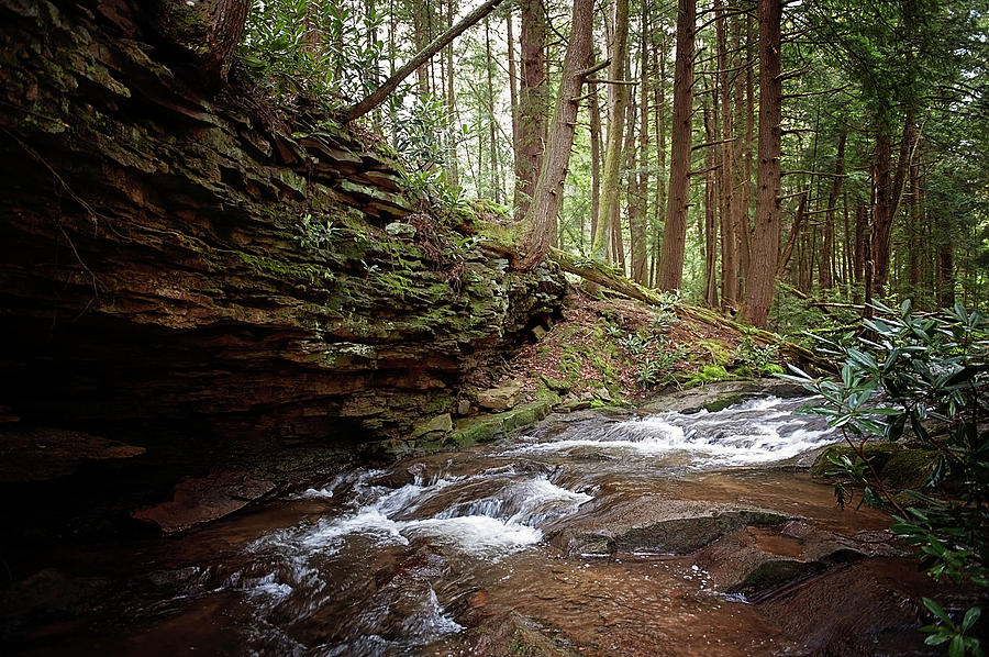 Small falls near Deep Creek Photograph by Kelley Nelson